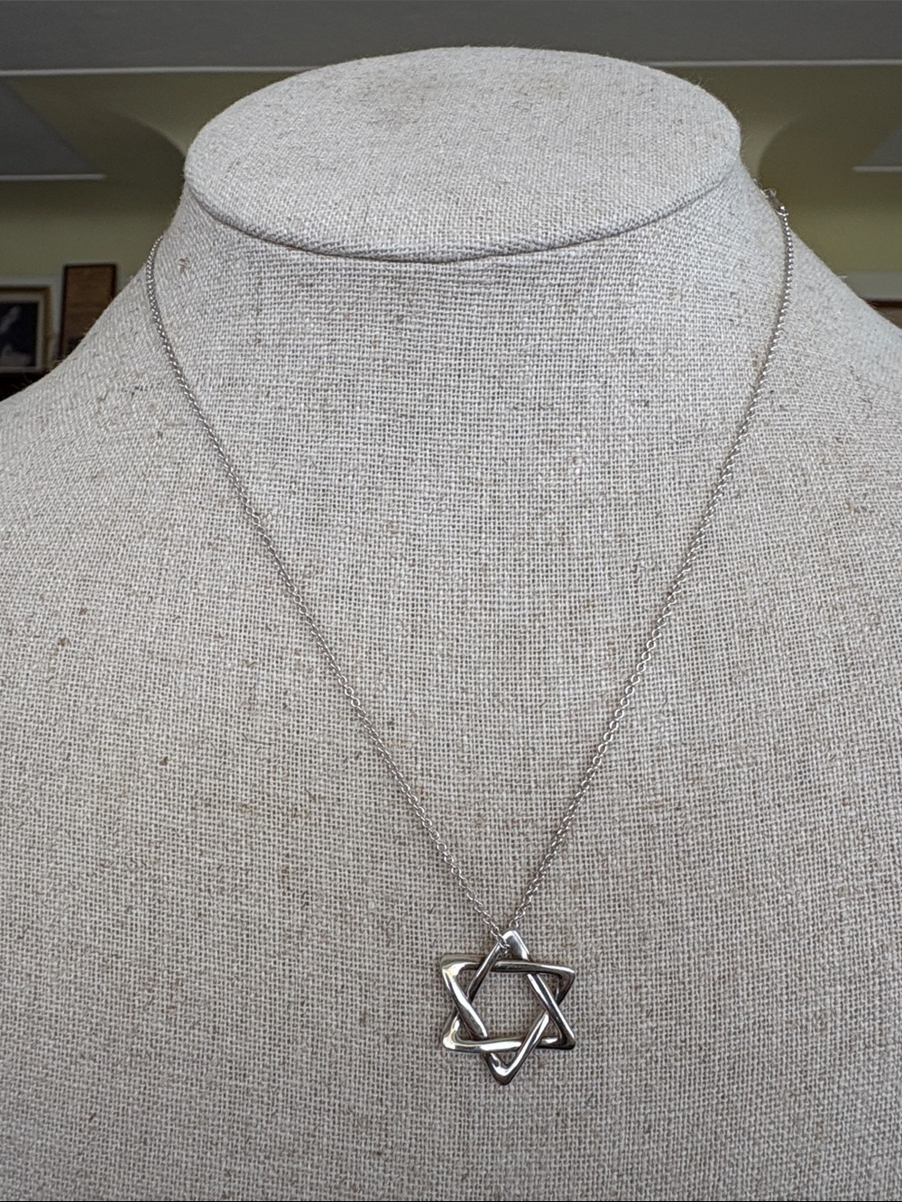 Tiffany & Co. Elsa Peretti Star of David Necklace 925 Sterling Silver (032526)